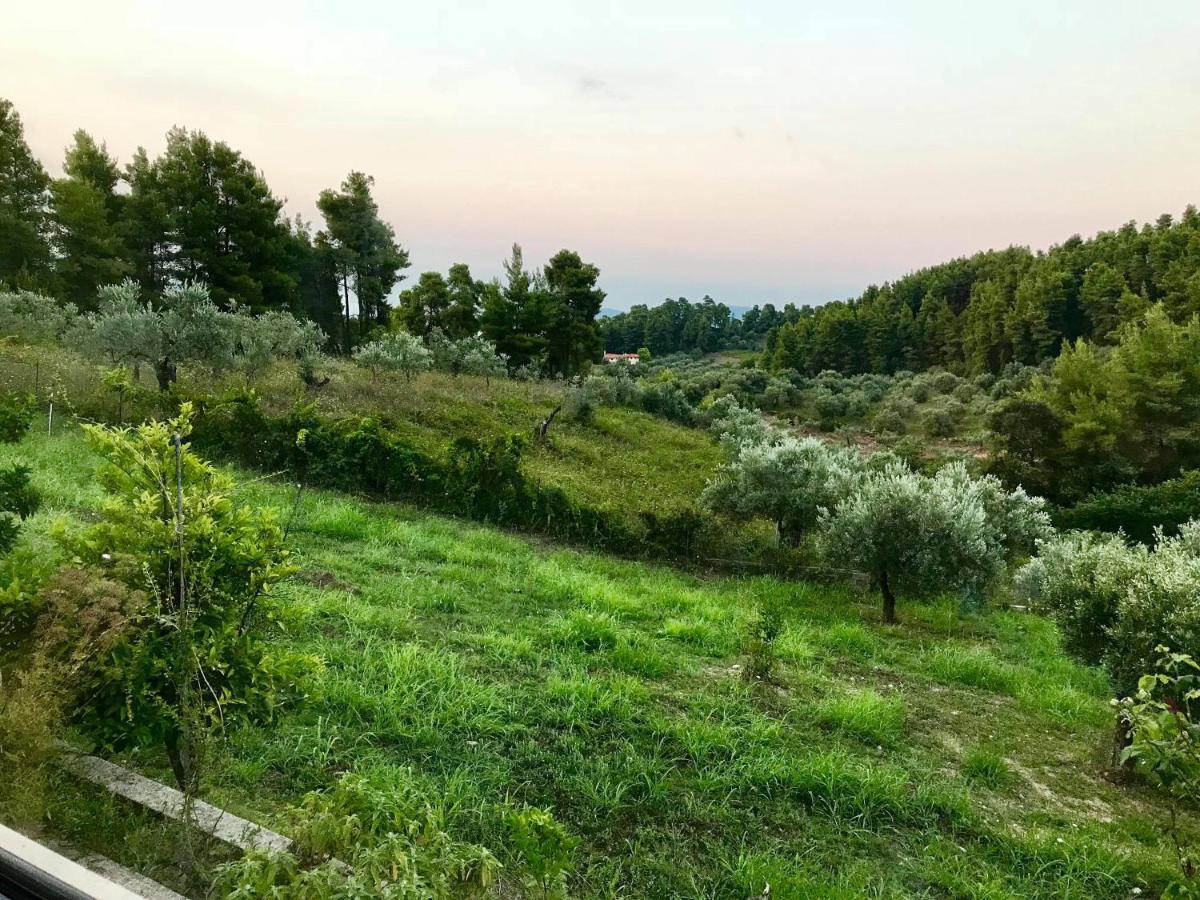 Wildherb House Agriovotano Exterior foto