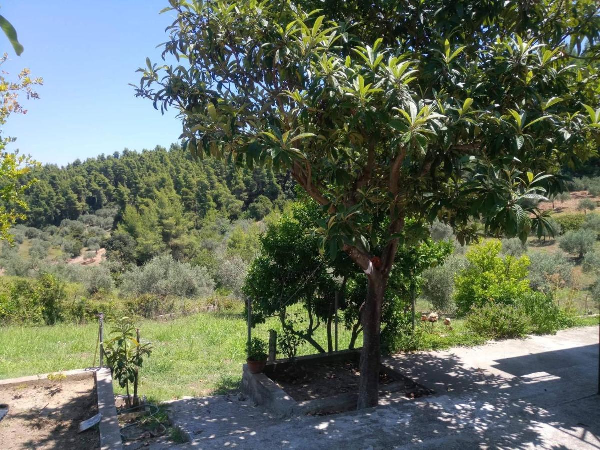 Wildherb House Agriovotano Exterior foto